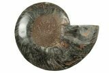 Cut & Polished Ammonite Fossil (Half) - Unusual Black Color #241549-1